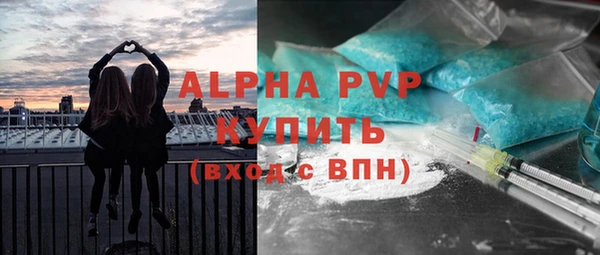 стафф Медногорск