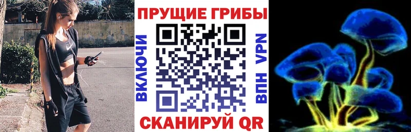 Галлюциногенные грибы MAGIC MUSHROOMS  Нытва 